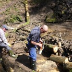 Hörschbachschlucht bei Murrhardt